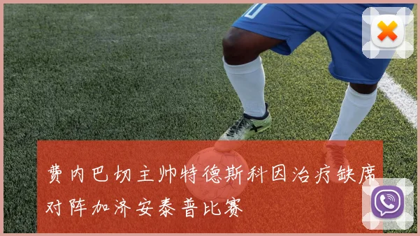 费内巴切主帅特德斯科因治疗缺席对阵加济安泰普比赛