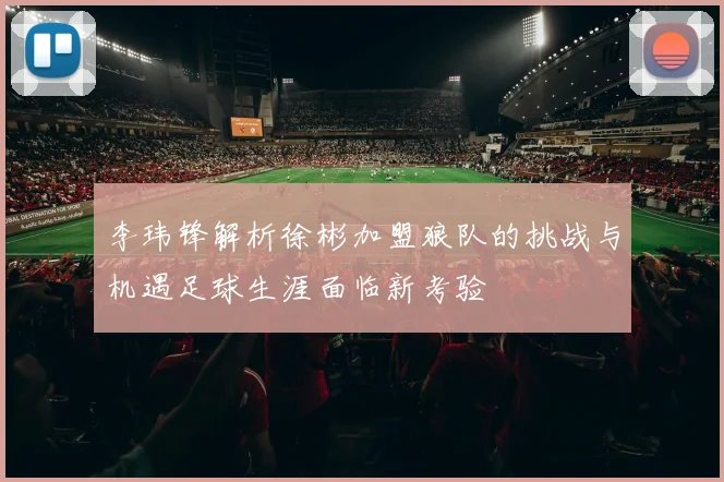 李玮锋解析徐彬加盟狼队的挑战与机遇足球生涯面临新考验